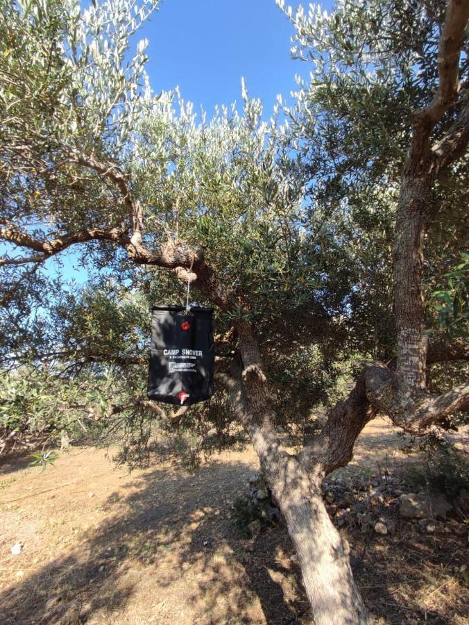 Al Tent Tente de luxe