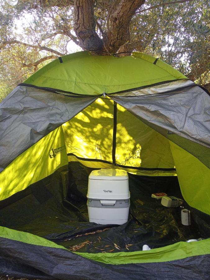 Al Tent La Canée